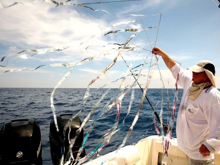 Fishing for sailfish