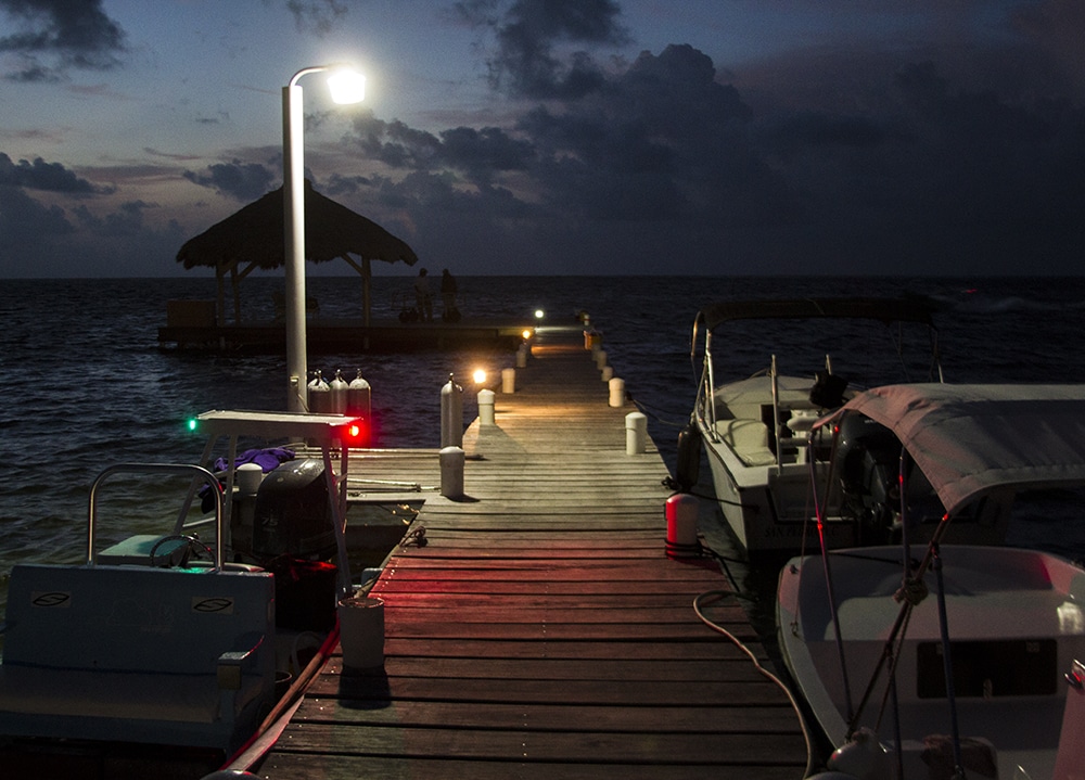 Belize Fly Fishing