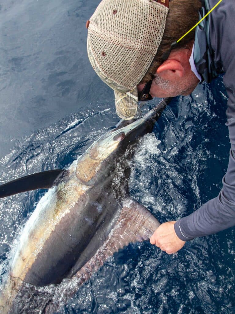Costa Rica blue marlin