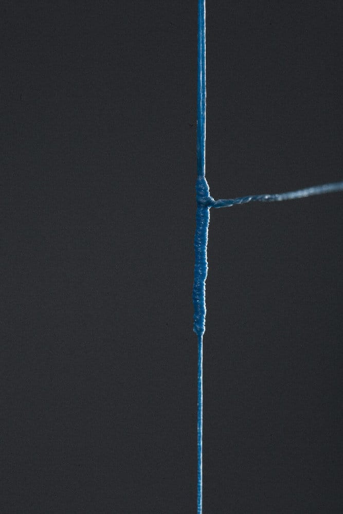 mccabe, braid the winning knot in braid! img_5892_from raw.jpg